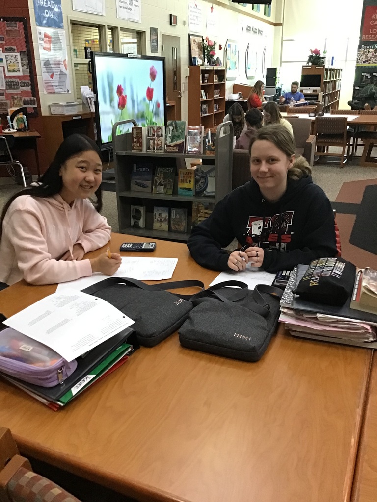 Students work on homework in the library